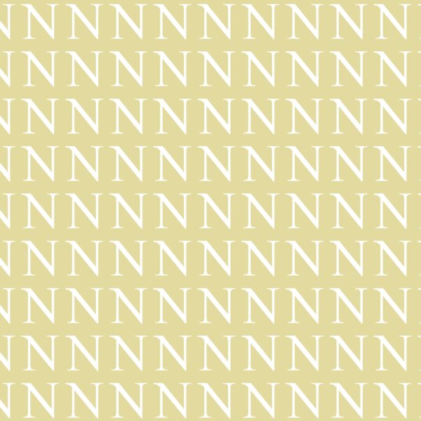 Défi visuel : testez votre acuité et votre rapidité d'observation en repérant l'intrus caché parmi les lettres N en moins de 15 secondes ! Serez-vous assez rapide et perspicace ?