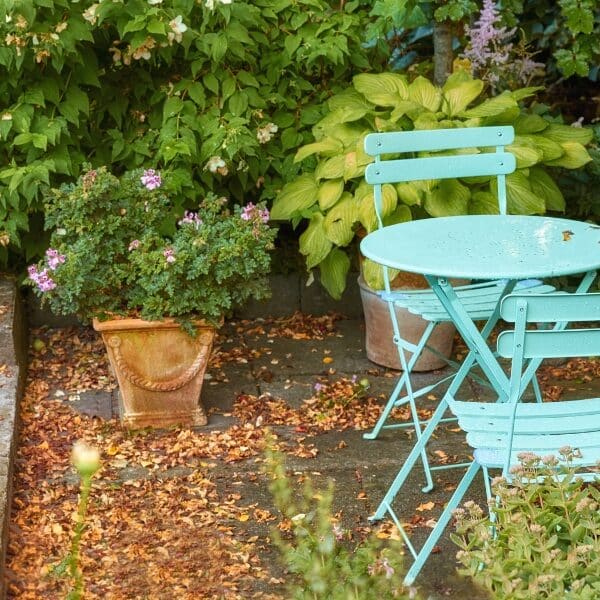 Quels sont les travaux de jardinage à réaliser en septembre ?